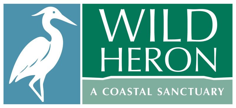 Wild Heron_new logo_Oct 24 2025