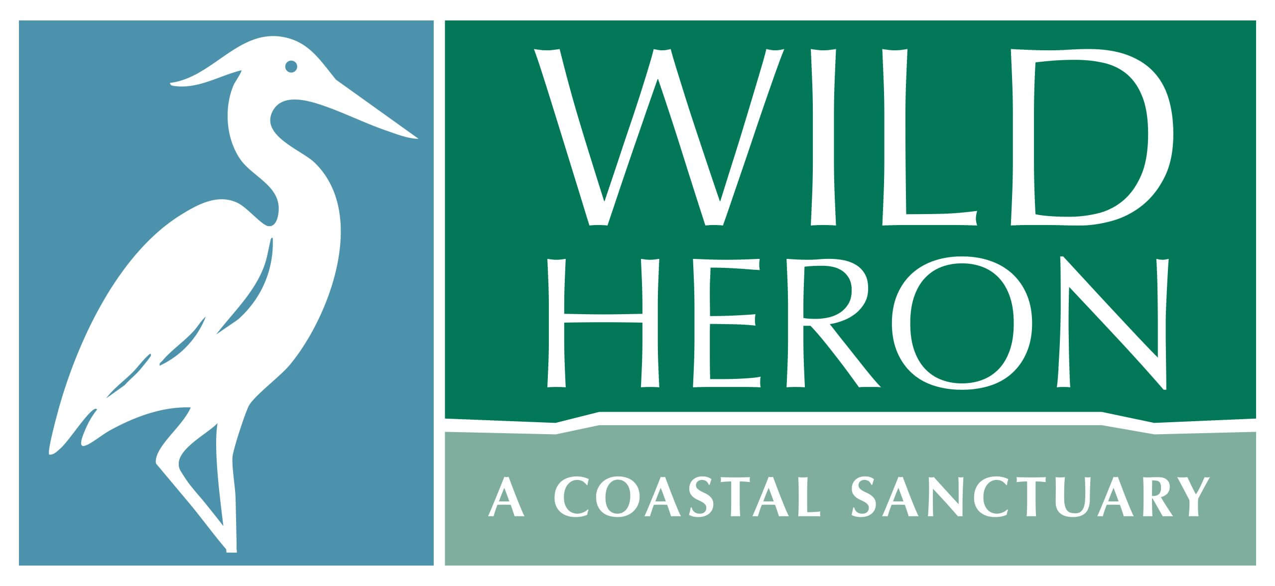 Wild Heron – A Coastal Sanctuary