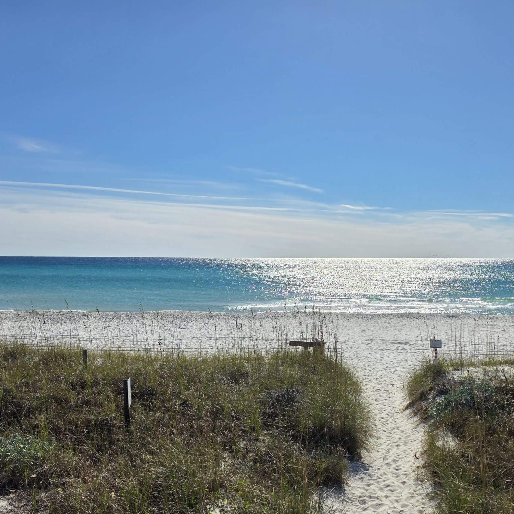 Gulf Coast SO