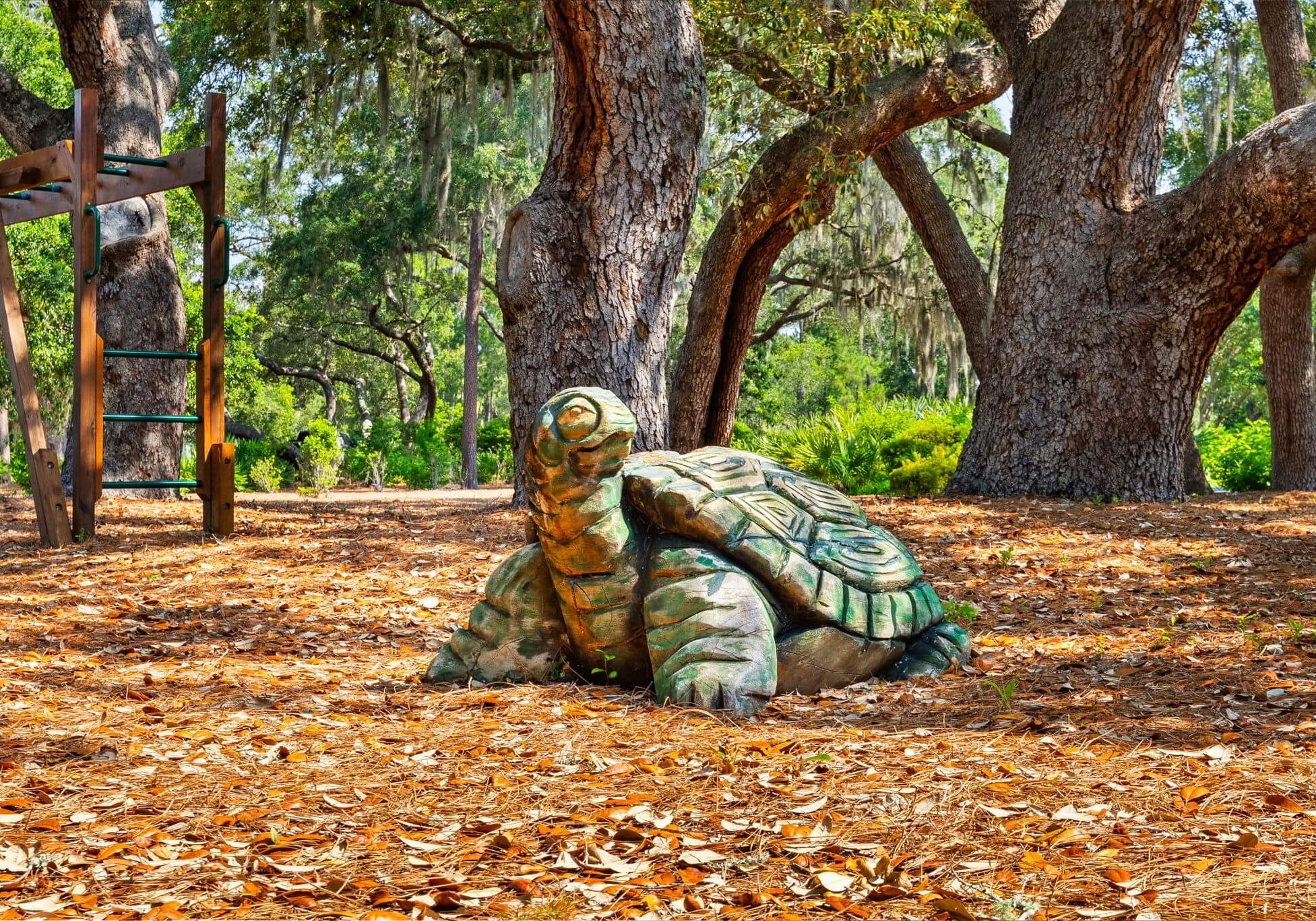Turtle - PP